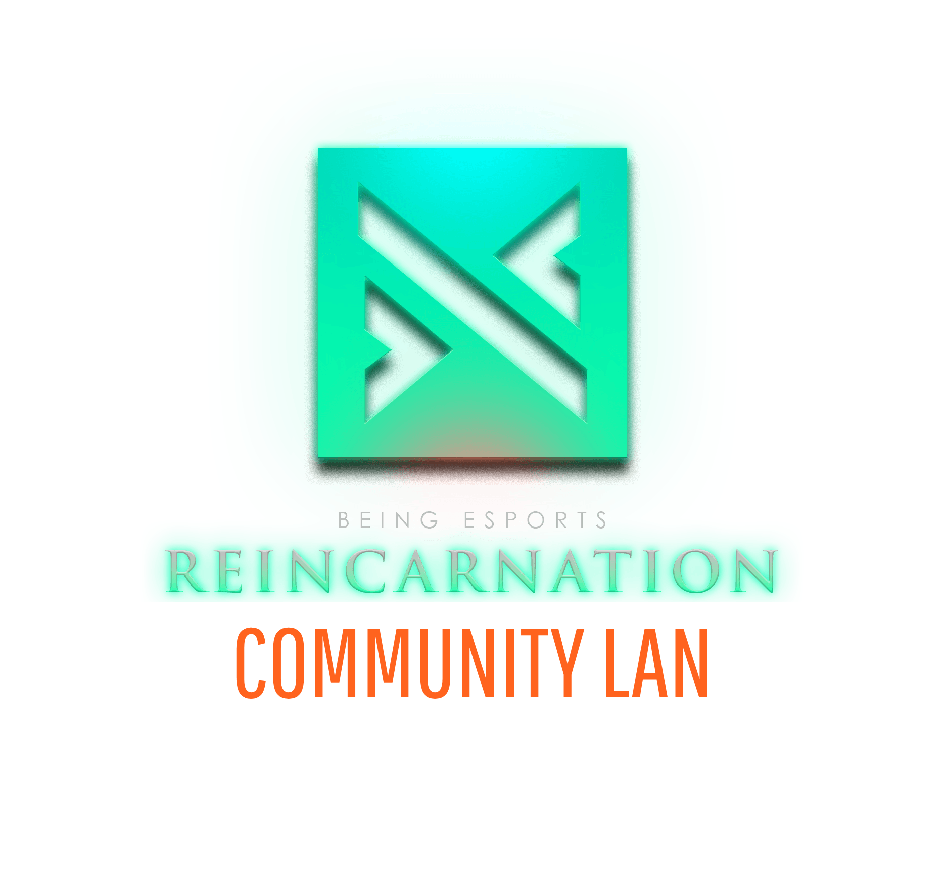 Reincarnation Community LAN